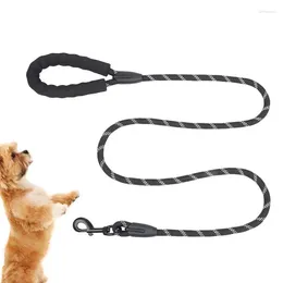 Dog Collars Lead With Comfortable Padded Handle Sturdy For Training And Walking Reflective Soft Nylon Durable Comfartable Pet
