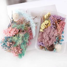 Decorative Flowers 1PC Dried Natural Floral Art Craft Scrapbooking Resin Jewelry Making Artificial Flower Hanging Baskets