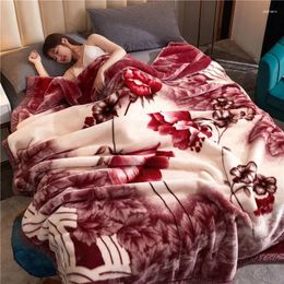 Blankets Direct Selling 200 230cm 6Kg Thick Warm Fluffy Super Soft Raschel Stitch Double Mink Quilts Layer Blanket