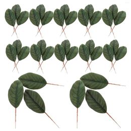 Decorative Flowers 30 Pcs Artificial Magnolia Leaves Like Living Dried Palm Garland Lifelike Fake Large