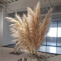 Decorative Flowers & Wreaths 100Pcs Wedding Pampas Grass Large Size Fluffy For Home Christmas Decor Natural Plants White Dried Flower Dhthe