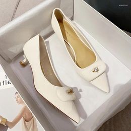 Dress Shoes Pointed Single 2024 Spring And Autumn 3 Cm Small Heel Low Gentle Slender Women's