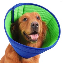 Dog Collars Flexible Cone Recovery Collar Prevent Licking Their Injured Area For Pets Cats And Dogs Daily Wear