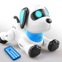 Дистанционный электронный другой голос R66D RC Собака Трюк Щенок Управление Игрушка Игрушки для домашних животных Робот Робот 230323 Jovnb