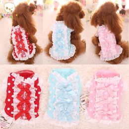 Dog Apparel Wholesale Puppy Lace Coat Soft Vest Dot Pet Clothes For Small Dogs Cotton Clothing Sweet Shirt 3 Colors