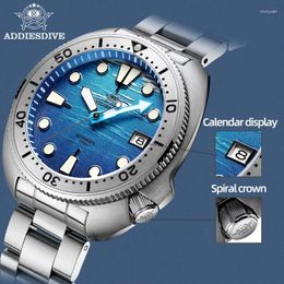 Wristwatches ADDIESDIVE Men Mechanical Watch AD2045 200m Diving Sapphire Glass Blue Luminous Automatic NH35 Relogios Masculino