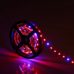 Full Spectrum SMD5050 Led Grow Strip Light NON-waterproof Led Grow Light for Hydroponic Plant Growing Lamp Grow box Red Blue 4:1 11 LL