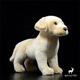 Labrador Retriever Anime Cute Plushie Sheep Dog Plush Toys Lifelike Animals Simulation Stuffed Doll Kawai Toy Gift 240325