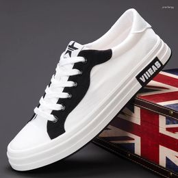 Casual Shoes Men Canvas Cloth Lace-up Flat 2024 Male Sneakers Luxury Design For SS24166