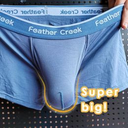 Underpants Man Bulge Pouch Underwears Super Big U-Concex Boxers Elastic Modal Crotch Pockets Lingerie Low Waist Briefs Enhancing