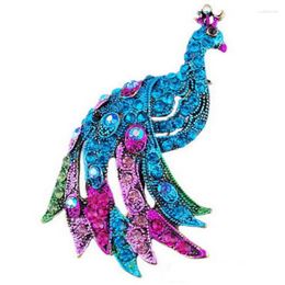 Brooches RINHOO MulitcolorPeacock For Women And Men 2 Colours Cute Animal Jewellery Friends Badge Scarf