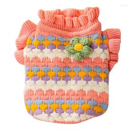 Dog Apparel Autumn And Winter 3D Small Flower Colourful Striped Knitted Pet Warm Clothing