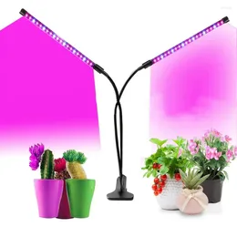 Decorative Figurines Plant Grow Light With Timing Design Full-spectrum Sunlight Long Strip Timer Dimmer Low For Indoor