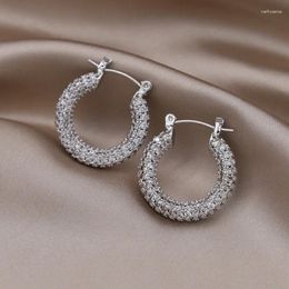 Hoop Earrings Korea's Fashion Jewellery Exquisite Copper Inlaid Zircon Silver Colour Round Simple Women's Daily Accessories