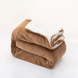 Blankets Winter Fleece Blanket Flannel Warm Thick Double Layer Cover Sided Bedspread Bedroom Throw Quilt