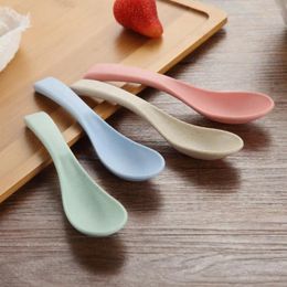 Spoons 5 PCS/Set Biodegradable Wheat Straw Spoon Smooth Durable Soup Nordic Style Colourful Rice Ladle