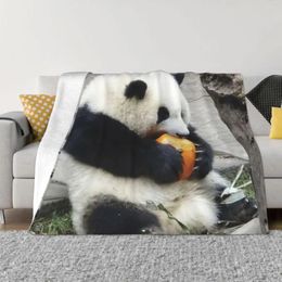 Blankets Huahua Panda Animal Blanket Winter Warmth Hypoallergenic Throw For Bedding Affordable