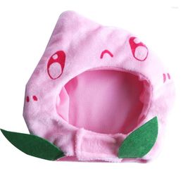 Cat Costumes Hat Lovely Costume With Pink Colour Peach Funny For Festival Party