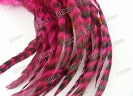 Grizzly Rooster Feather Hair Extension 100pc Feathers Extensions 1 Needle 200 Beads GRF001 48851404