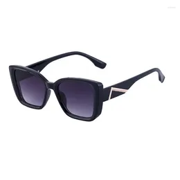 Sunglasses Men Fashion Original Brand Vintage Metal Light Box Polarised Sun Glass For