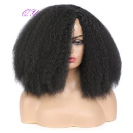 Wigs QY Synthetic Afro Kinky Curly Hair Natural Wig For Women Fashion And Natural Hairstyle Wig