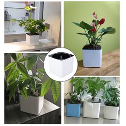 D7WA Garden Flower Pot Self Watering Succulents Plant Starter with Water Level Indicator Indoor Outdoor Decorations