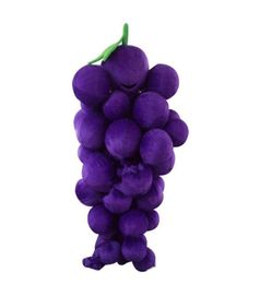 2018 Discount factory Vegetables Mascot Costumes Complete Outfits Christmas Grape Costume Adult children size3222269