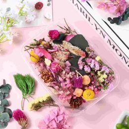 Decorative Flowers 2 Boxes Artificial DIY Natural Mixed Manicure Home Accessories Handmade Material Dried