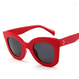 Sunglasses Korean Style Designer Woman Cat Eye Shape UV400 Protection Women's Sun Glasses Vintage Retro Female Sunglass