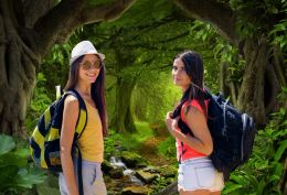 Tropical Jungle Green Forest Backdrop for Photography Rainforest Natural Landscape Adventure Photo Studio Background Custom