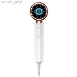 Electric Hair Dryer Hair dryer strong hair dryer hot air brush hair dryer five step hair dryer Y240402