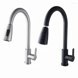 Bathroom Sink Faucets Kitchen Faucet Single Hole Pull Out Spout Mixer Tap Stainless Steel Rotatable Hardware Accessories