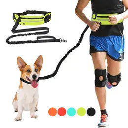 Dog Collars Traction Rope Hands Free Running Lead Leash With Waist Bag Reflective Adjustable Retractable Elastic Belt Collar Accessories