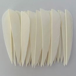 50Pcs 3 Inch Turkey Feathers Archery Arrow Fletches Vanes Right Wing for Hunting Archery Accessories Parabolic Shape