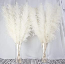 Decorative Flowers 10 Stems 46" Inch White Pampas Grass Decor Tall Large Pompas Boho Neutral Home Bouquet Wedding Floral Arrangements