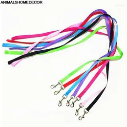 Dog Collars 1Pc Pet Leash Small Puppy Cat Kitten Nylon Harness Collar Lead Supplies Accessories 6zcx-cx380