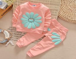 Spring Autumn Girls Tracksuit Baby Kids Flowers Tops Sweatshirt Pants 2pcs Clothing Suits Children Cotton Outfits Sets 5 Colors2614923