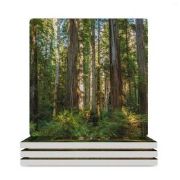 Table Mats Inside The Redwood Forest Ceramic Coasters (Square) Cup For Tea Creative Cute Kitchen Mug Mat