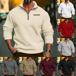 New Designer Sweaters Sell Well Oversized Winter Plush Half Zip Stand Up Collar Pullover Solid Colour Casual Hoodie for Mens Fashion Trend