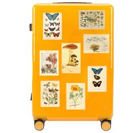 10/50PCS Butterfly Insect Flower Mushroom Stickers Botanical Educational Decals Sticker For Notebook Scooter Trolley Case