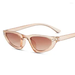 Sunglasses Vintage Retro Women's Sun Glasses Small Frame Cat Eye Shape For Women UV Protection Female