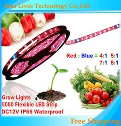 Whole5m 5050 DC12V LED Strip plant grow lights Red Blue 41517181 for greenhouse Hydroponic plant Growing5mlot9272890