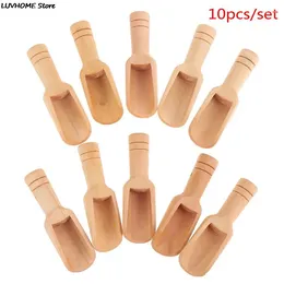 Tea Scoops 10pcs Mini Wooden Spoon Round Handle Teaspoon Small Salt Shovel Condiment Spoons