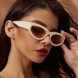 Sunglasses Cat Eye Shape Women's Glasses For The Sun Fashion Anti-glare Women European American