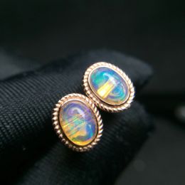 Earrings Light Luxury Colorful Jewelry 925 Silver Inlaid Natural Opal Earrings Simple Package Inlaid Generous Charming Gift