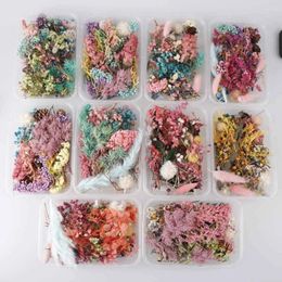 Decorative Flowers 1 Box Real Dried Flower Dry Plants For Candle Epoxy Resin Pendant Necklace Jewellery Making Craft Valentines