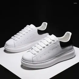 Casual Shoes Korean Style Mens Lace-up White Shoe Original Leather Flats Sneakers Youth Street Platform Footwear Zapatos Hombre