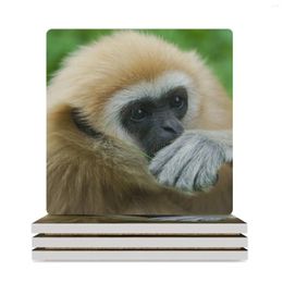 Table Mats Lar Gibbon Ceramic Coasters (Square) Household Utensils Kitchen Set For Drinks Tea Cup Holder Christmas