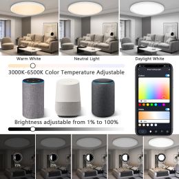 RGB LED Ceiling Lights 40W Tuya Smart Wifi Lamp 220V 110V CW WW Dimmable Voice Control Conpetible With Alexa For Living Room