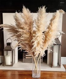 Decorative Flowers Large Beige Pampas Aesthetic Boho Home Decor Natural Grass Dried Flower For 80-120cm Tall Fluffy Wedding